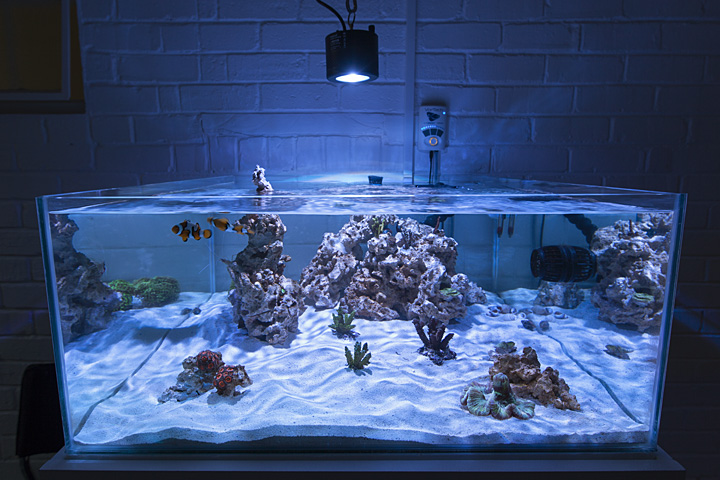 fts_feb_13_2014.jpg