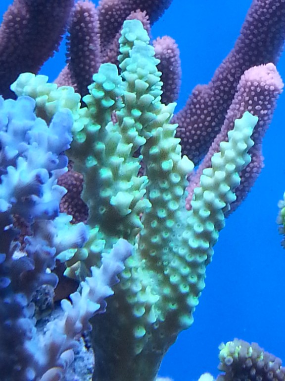 20150109_160907~1.jpg