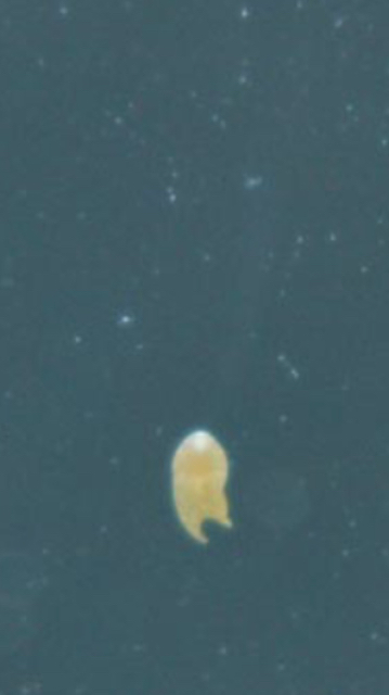 Image1460375023.983964.jpg