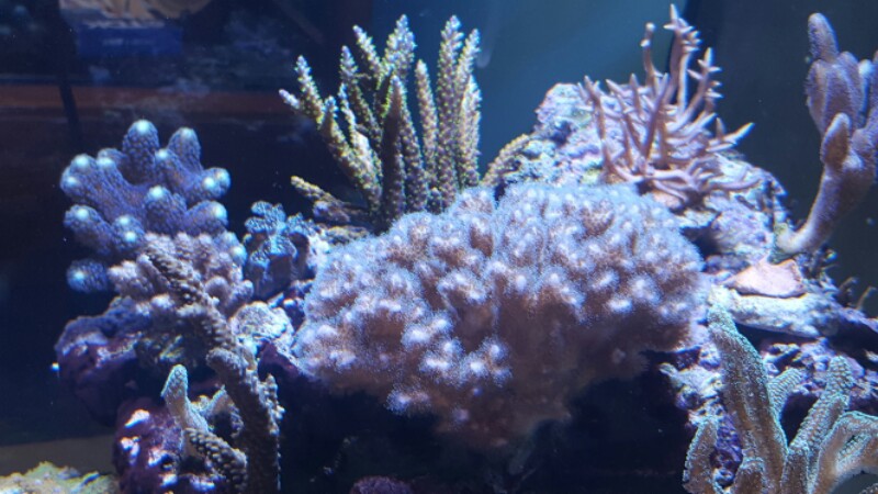20160531_133634-800x450.jpg