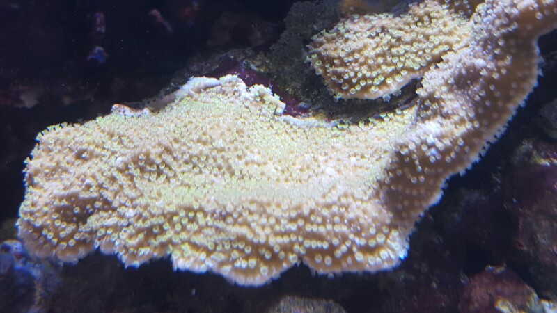 20160531_133643-800x450.jpg