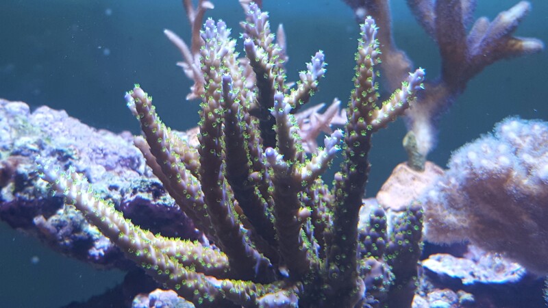 20160531_133432-800x450.jpg