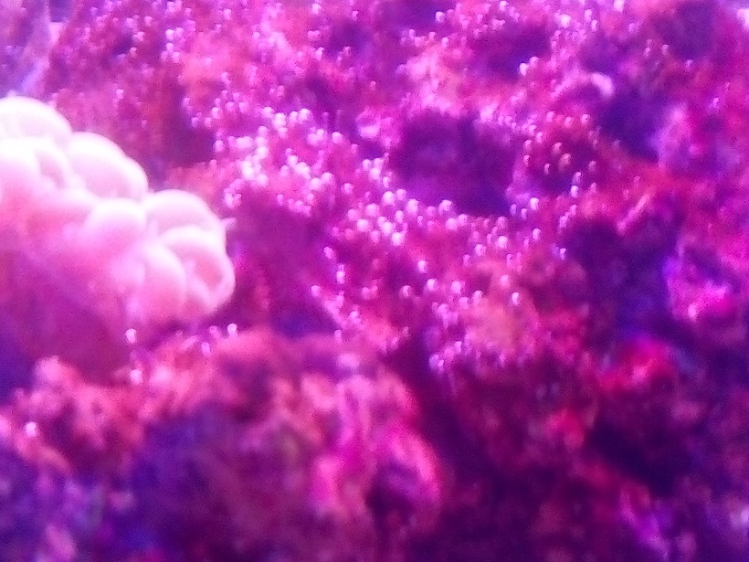 IMG_20160612_225712.jpg