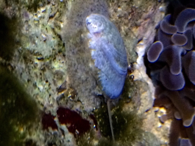 Image1465967113.644748.jpg