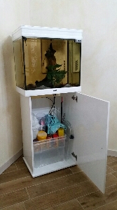2017-02-03 12.36.34.jpg