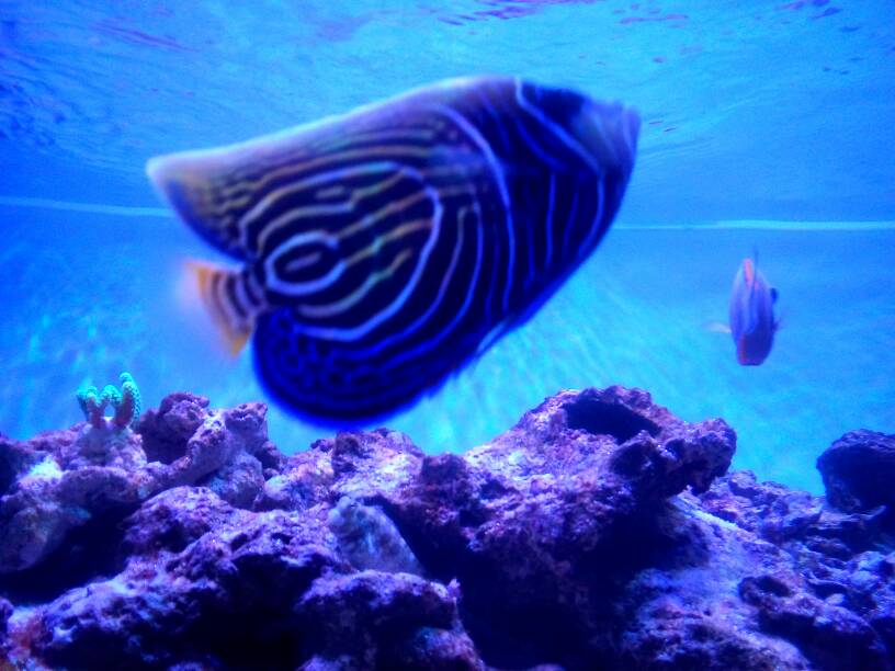 IMG_20170203_185003.jpg