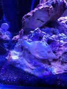 IMG-20170306-_WA0013.jpg
