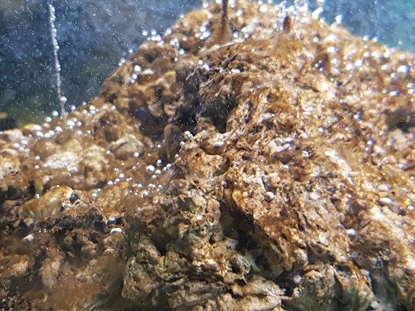 20170512_093439.jpg