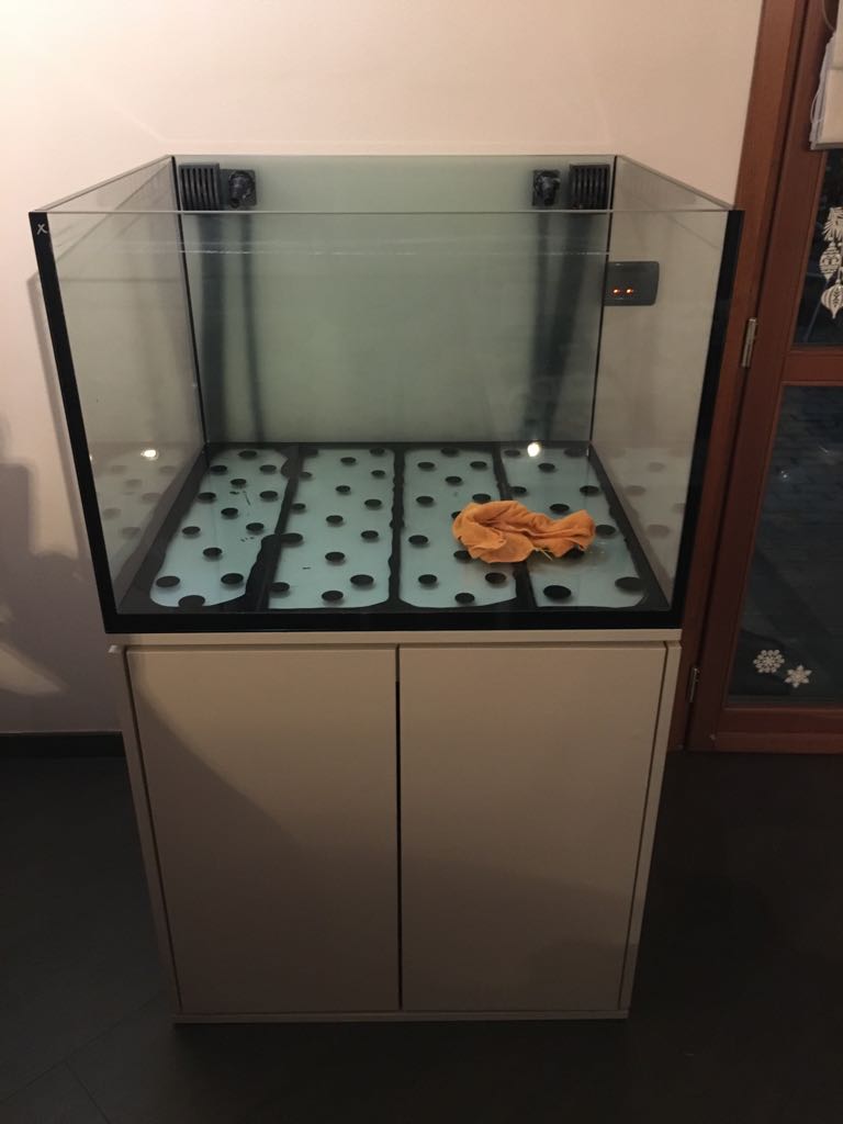 acquario3.jpg