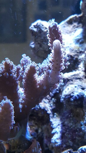20170627_103412-288x512.jpg