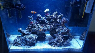 20170608_155834-1328x747-332x187.jpg